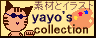 yayo's collection